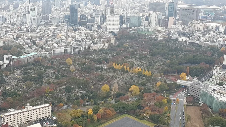 青山霊園（青山周辺の着物映えフォトスポット）