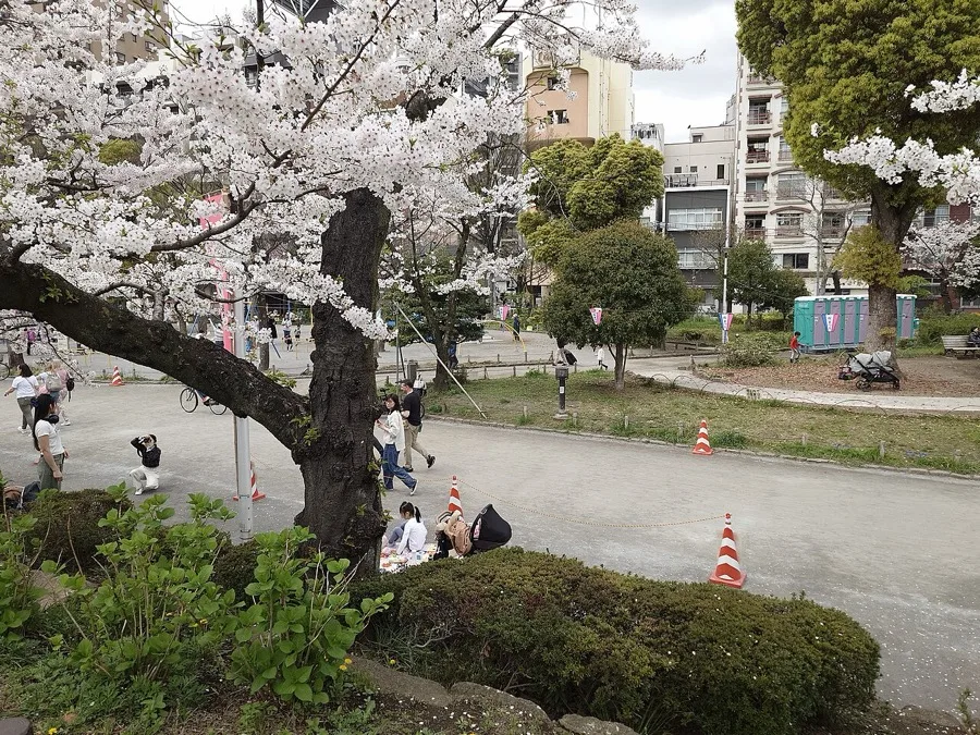 隅田公園（浅草の着物映えフォトスポット）