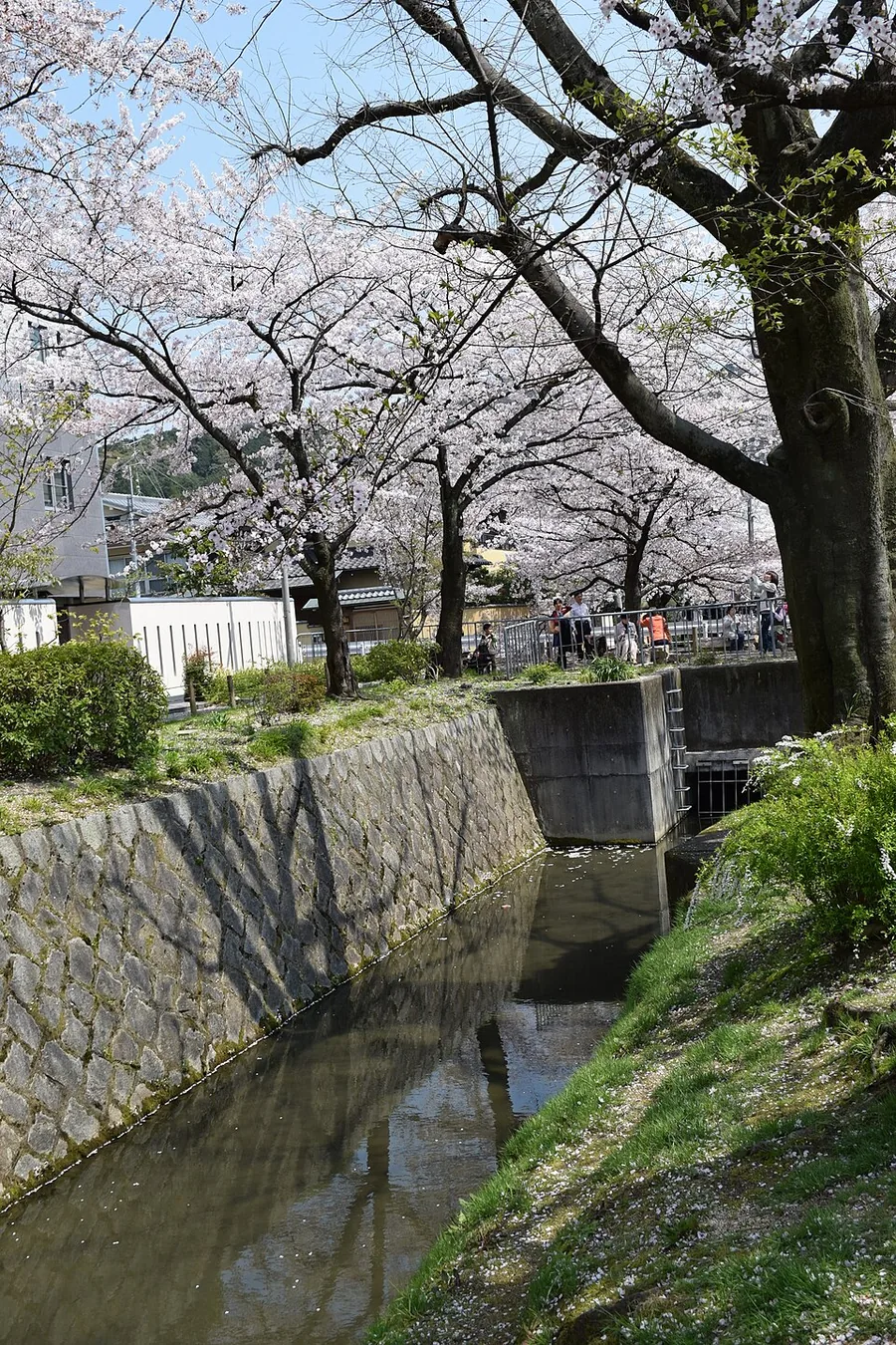 哲学の道（銀閣寺の着物映えフォトスポット）