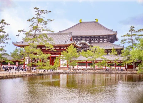 Fuji Kimono Rental homongi (visiting kimono)