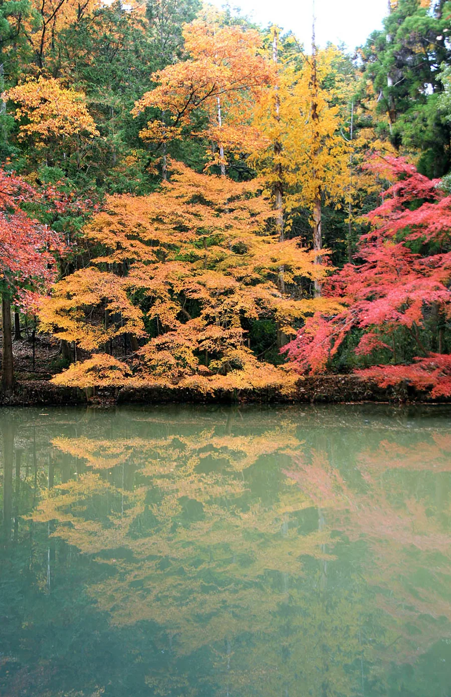 紅葉谷公園（宮島の着物映えフォトスポット）
