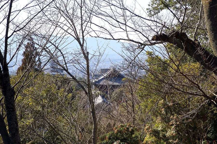 Kasuga Taisha (a photogenic kimono spot around Todaiji)